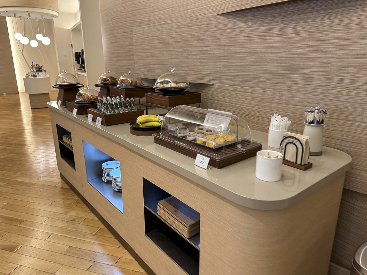 Snack bar in the Korean Air Lounge Terminal 1 Narita Airport